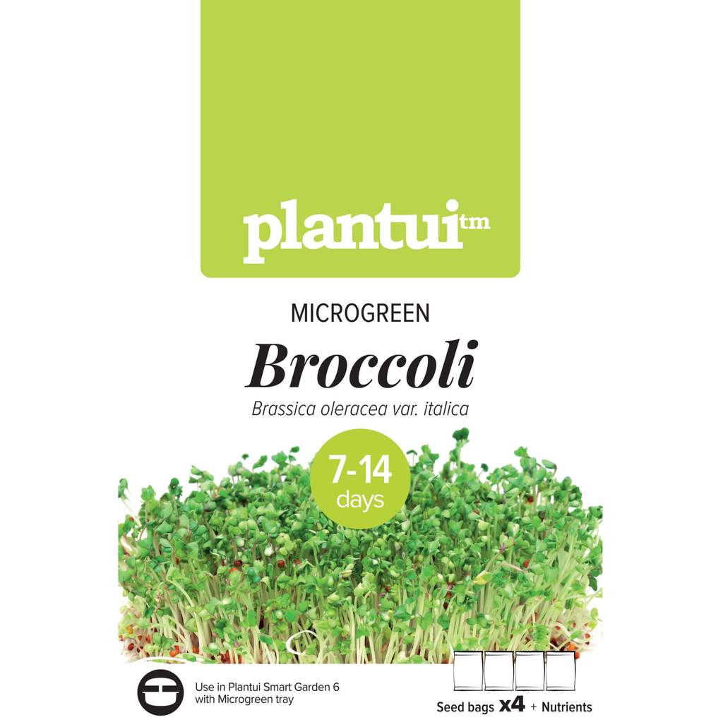 Microgreen Broccoli